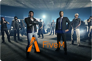 FiveM Game | VyHub Game Banner